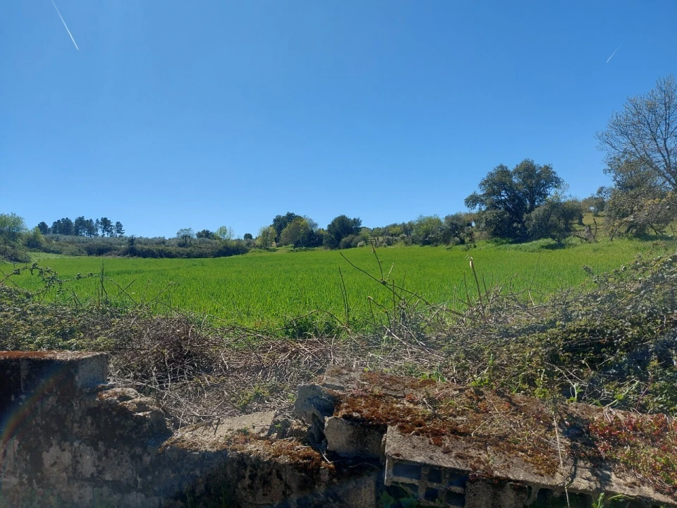 Terreno para Venda em Castro Vicente Foto 3