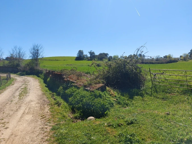 Terreno para Venda em Castro Vicente Foto 1