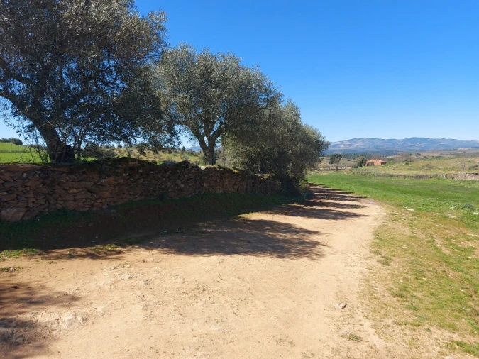 Terreno para Venda em Castro Vicente Foto 7