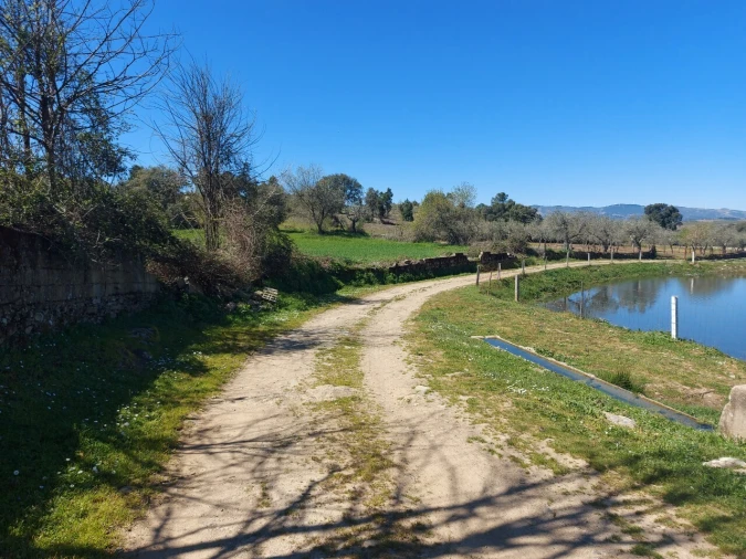 Terreno para Venda em Castro Vicente Foto 9