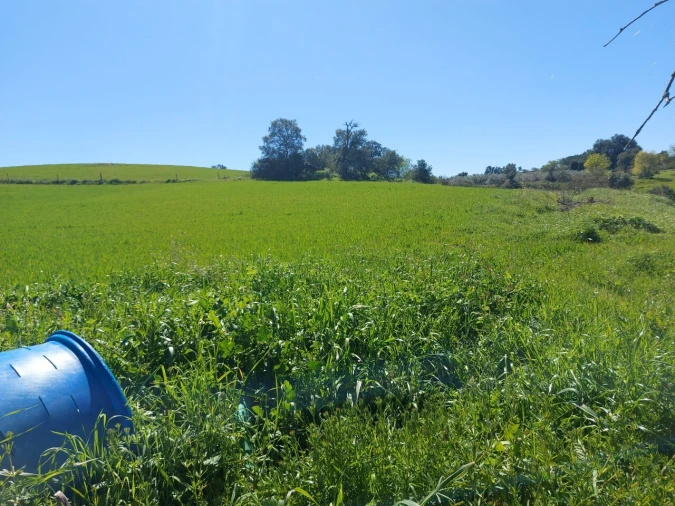 Terreno para Venda em Castro Vicente Foto 11