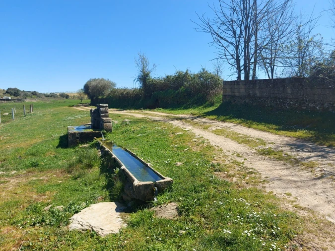Terreno para Venda em Castro Vicente Foto 13