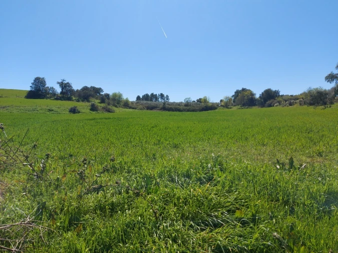 Terreno para Venda em Castro Vicente Foto 6