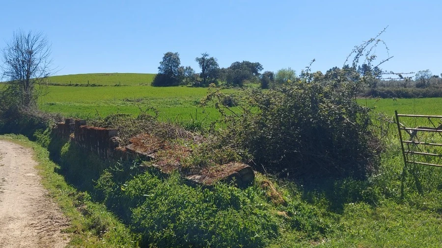 Terreno para Venda em Castro Vicente