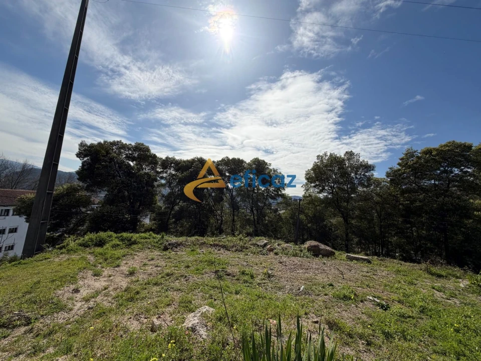 Terreno P/ Prédio para Venda em Amarante (São Gonçalo), Madalena, Cepelos e Gatão Foto 3