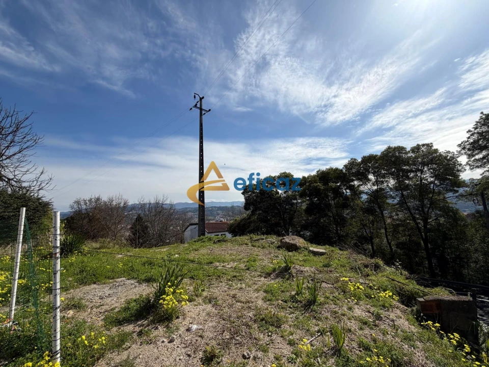 Terreno P/ Prédio para Venda em Amarante (São Gonçalo), Madalena, Cepelos e Gatão Foto 4