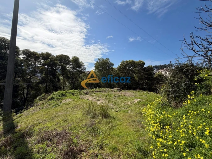 Terreno P/ Prédio para Venda em Amarante (São Gonçalo), Madalena, Cepelos e Gatão Foto 1