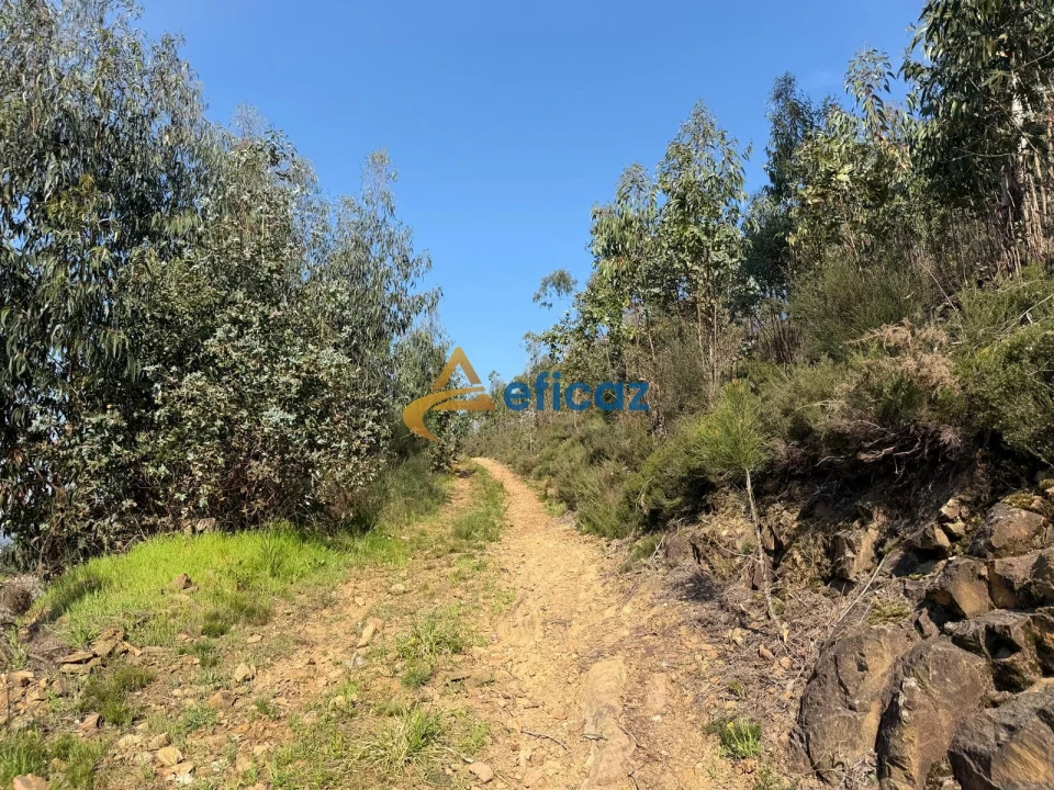 Terreno Agricola ou Rústico para Venda em Gandra Foto 4