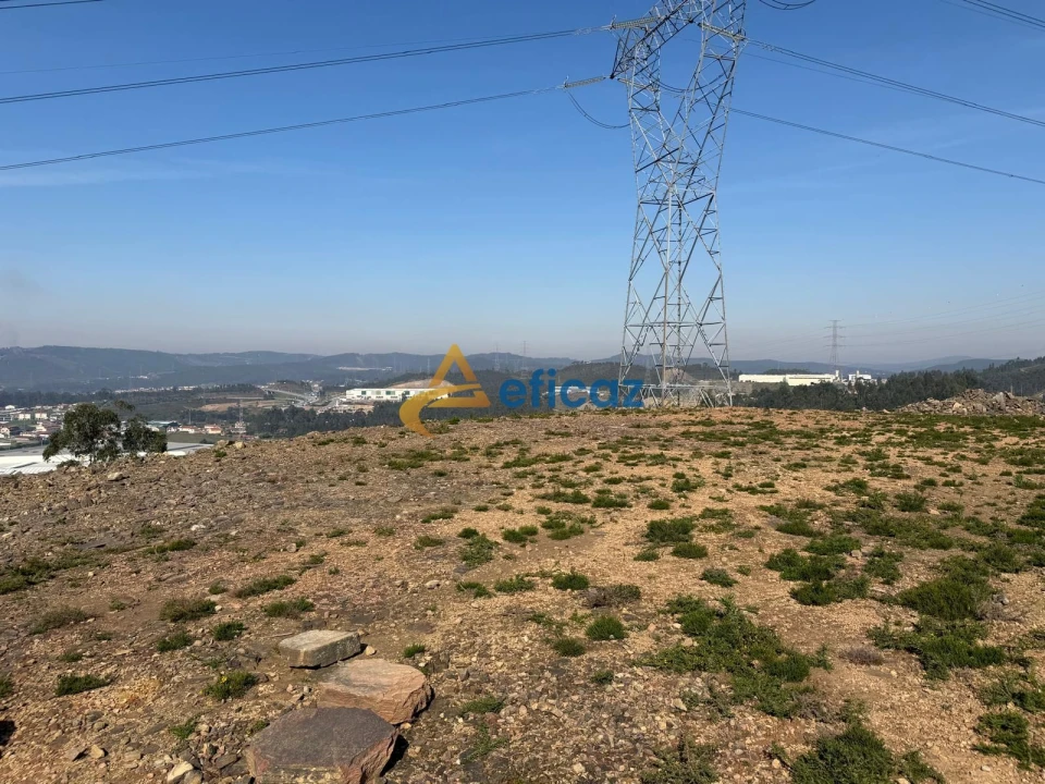 Terreno Agricola ou Rústico para Venda em Gandra Foto 5