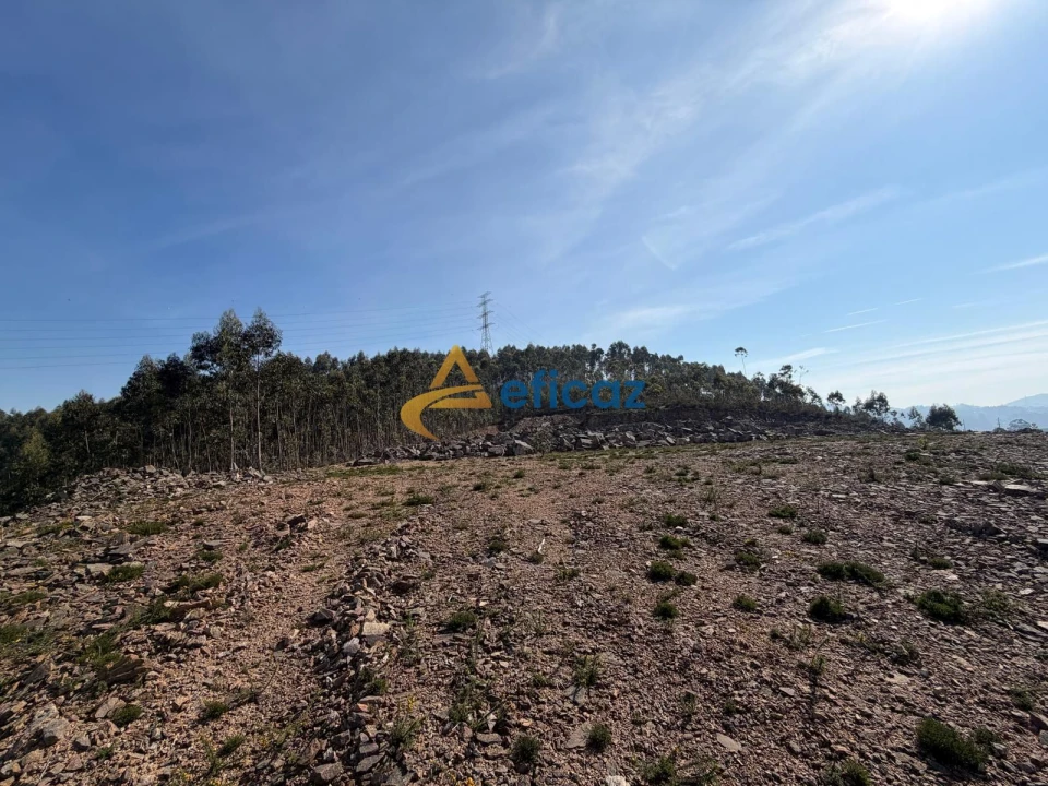 Terreno Agricola ou Rústico para Venda em Gandra Foto 8