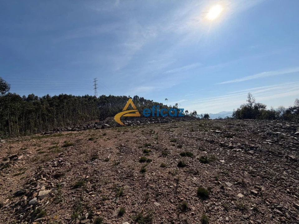 Terreno Agricola ou Rústico para Venda em Gandra Foto 9