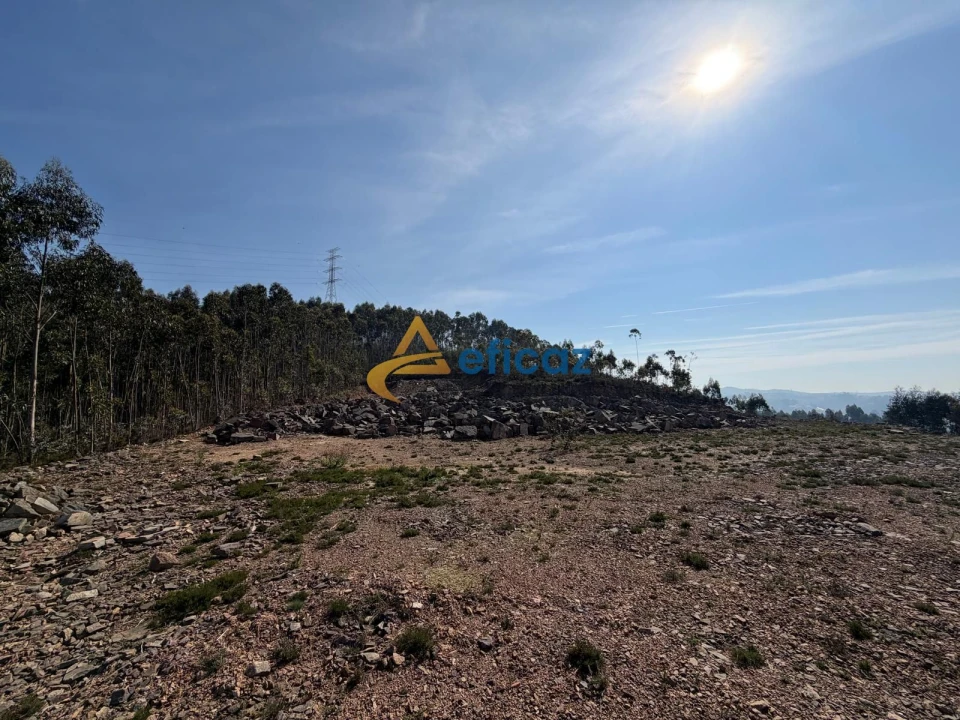 Terreno Agricola ou Rústico para Venda em Gandra Foto 11