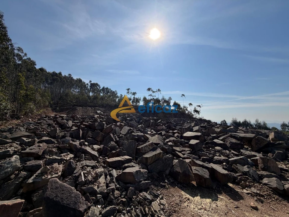 Terreno Agricola ou Rústico para Venda em Gandra Foto 14