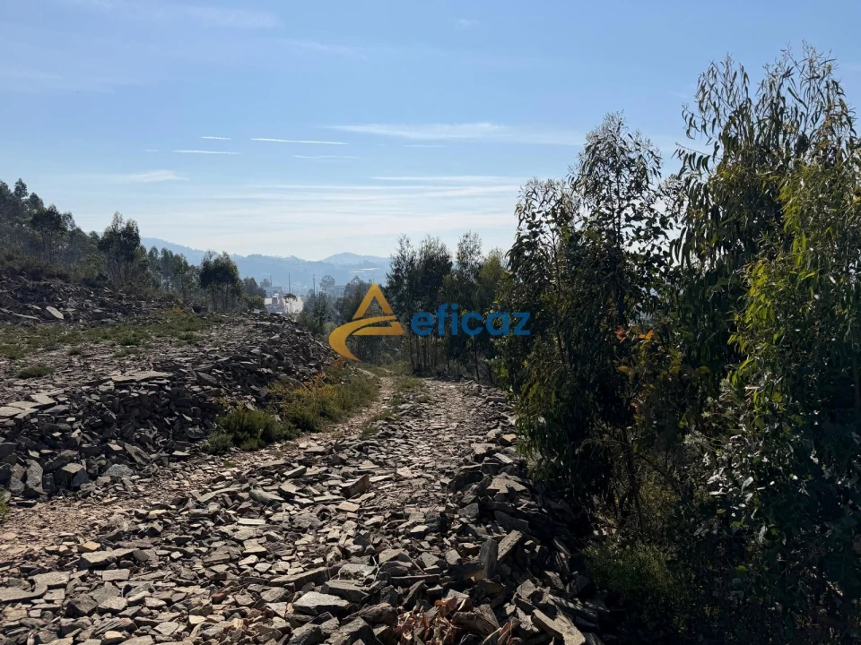 Terreno Agricola ou Rústico para Venda em Gandra Foto 15