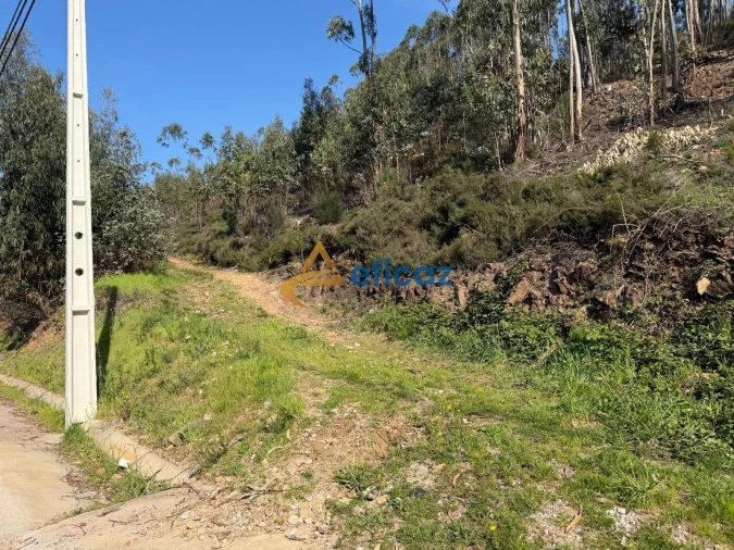 Terreno Agricola ou Rústico para Venda em Gandra Foto 2