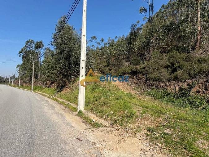 Terreno Agricola ou Rústico para Venda em Gandra Foto 3