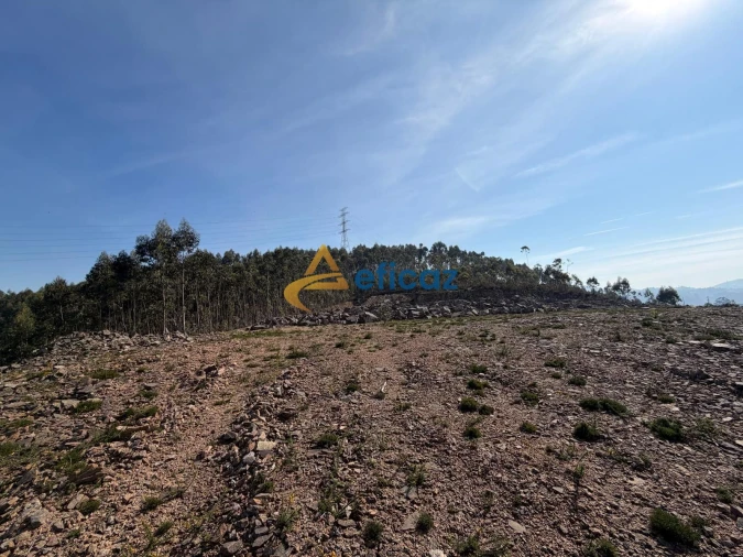 Terreno Agricola ou Rústico para Venda em Gandra Foto 8