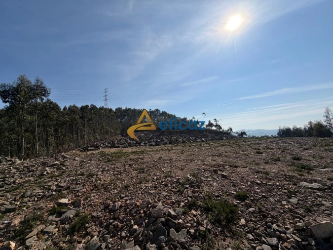 Terreno Agricola ou Rústico para Venda em Gandra Foto 10