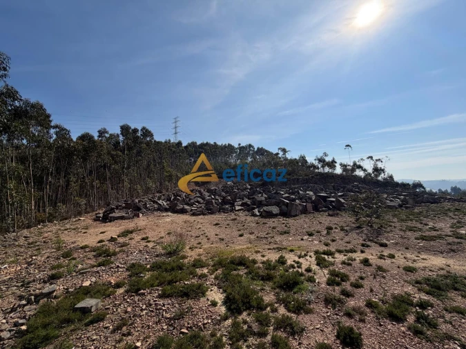 Terreno Agricola ou Rústico para Venda em Gandra Foto 12