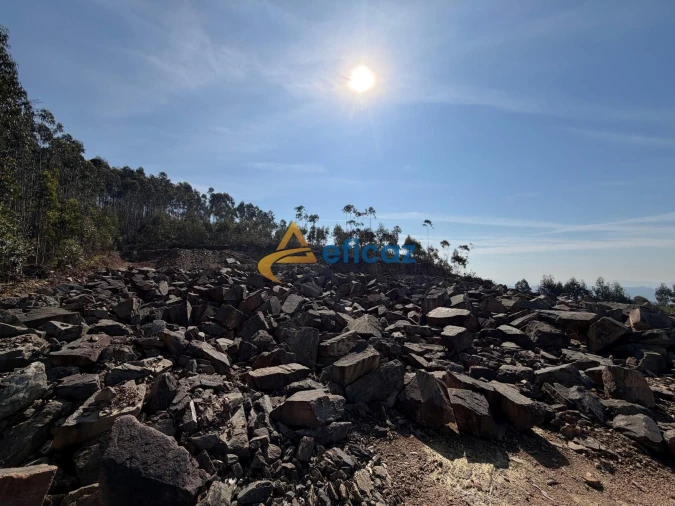Terreno Agricola ou Rústico para Venda em Gandra Foto 14