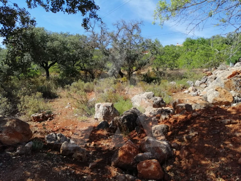 Terreno para Venda em Querença, Tôr e Benafim Foto 5