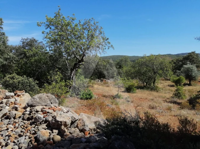 Terreno para Venda em Querença, Tôr e Benafim Foto 14