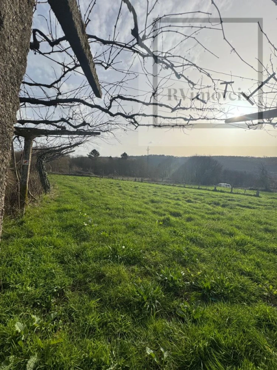 Terreno para Venda em Coura Foto 3