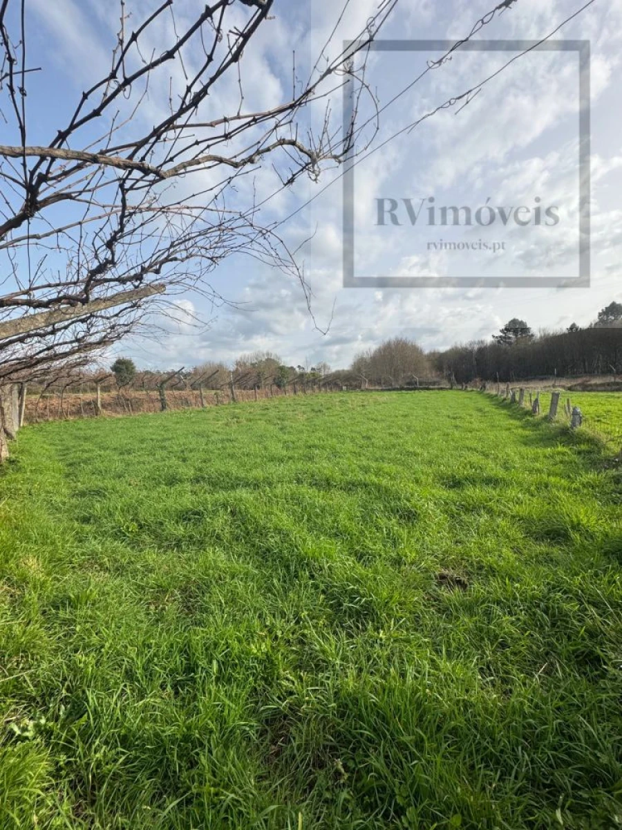 Terreno para Venda em Coura Foto 1