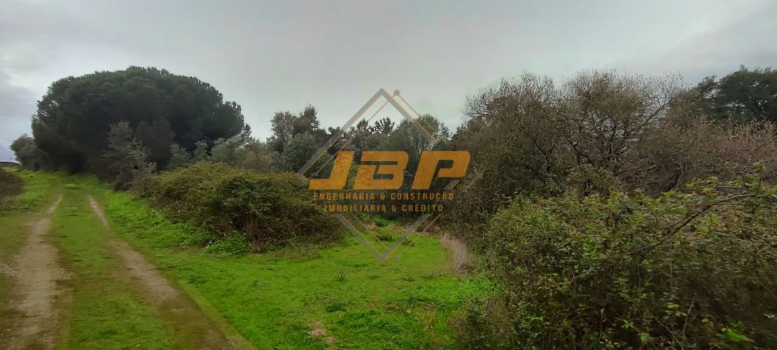 Terreno para Venda em Cartaxo e Vale da Pinta