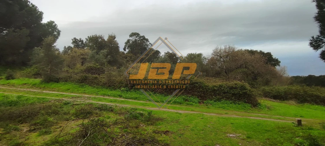 Terreno para Venda em Cartaxo e Vale da Pinta Foto 7