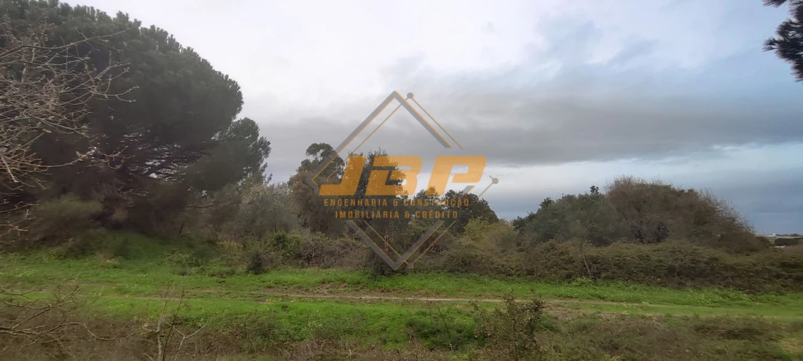 Terreno para Venda em Cartaxo e Vale da Pinta Foto 3