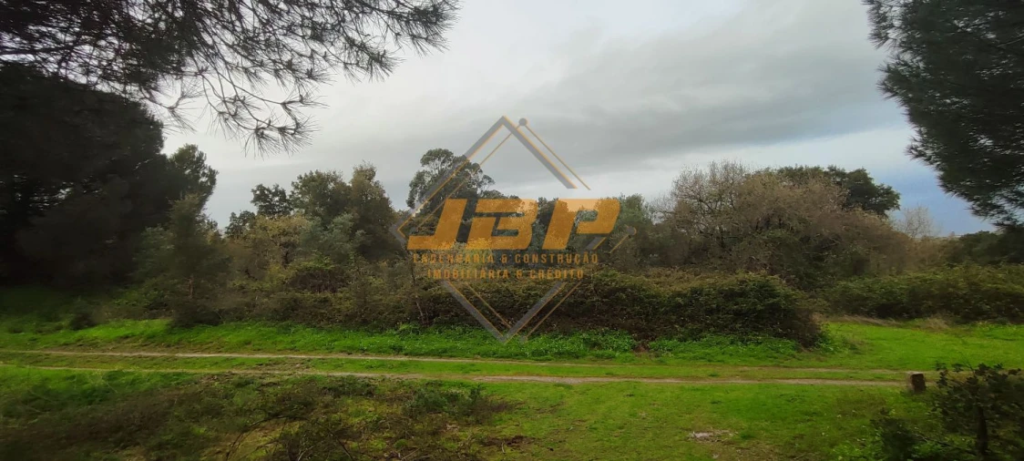 Terreno para Venda em Cartaxo e Vale da Pinta Foto 2