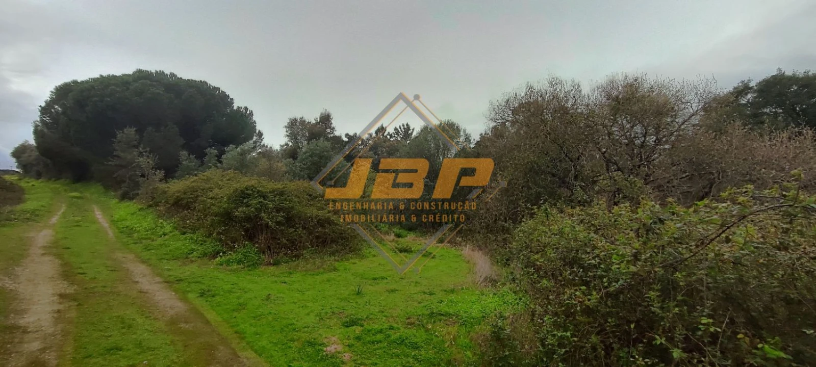 Terreno para Venda em Cartaxo e Vale da Pinta Foto 1