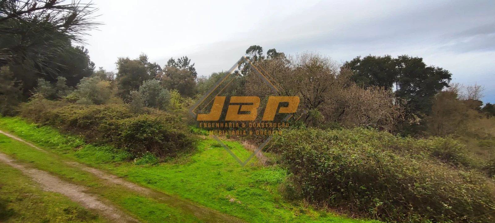 Terreno para Venda em Cartaxo e Vale da Pinta Foto 6