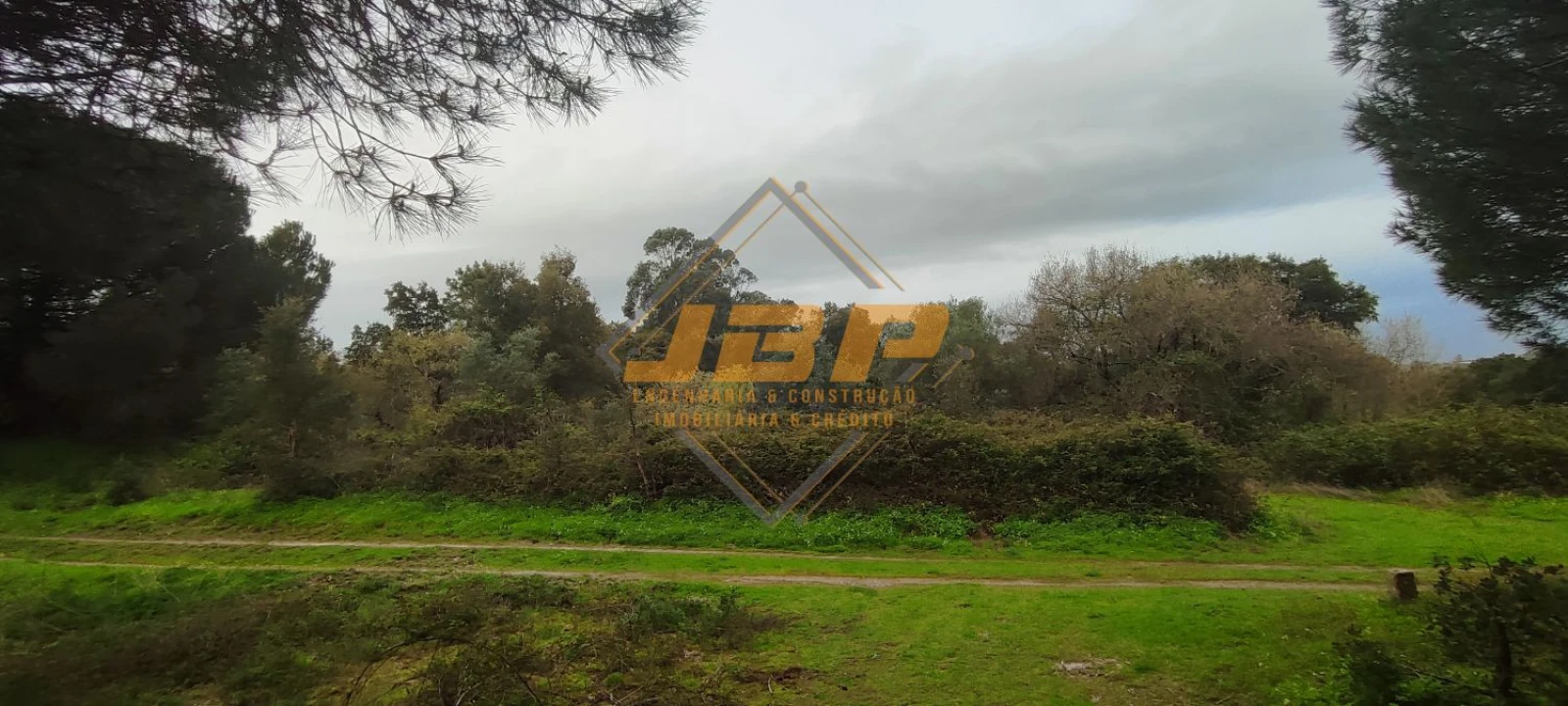 Terreno para Venda em Cartaxo e Vale da Pinta Foto 2