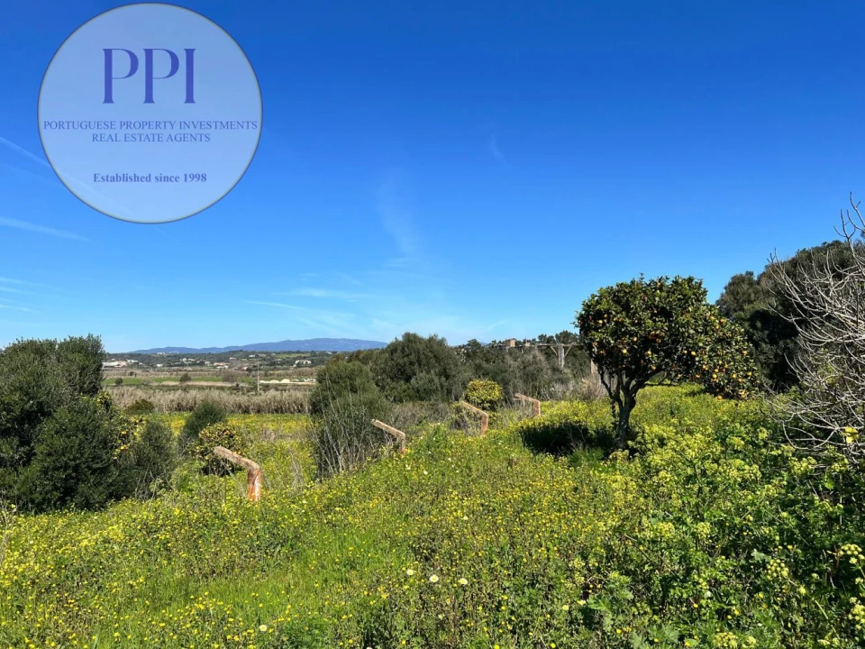 Quinta T0 para Venda em Lagos (São Sebastião e Santa Maria) Foto 53