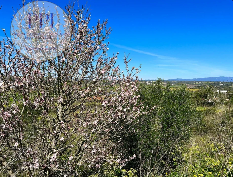 Quinta T0 para Venda em Lagos (São Sebastião e Santa Maria) Foto 18