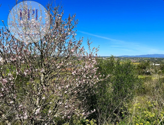 Quinta T0 para Venda em Lagos (São Sebastião e Santa Maria) Foto 18