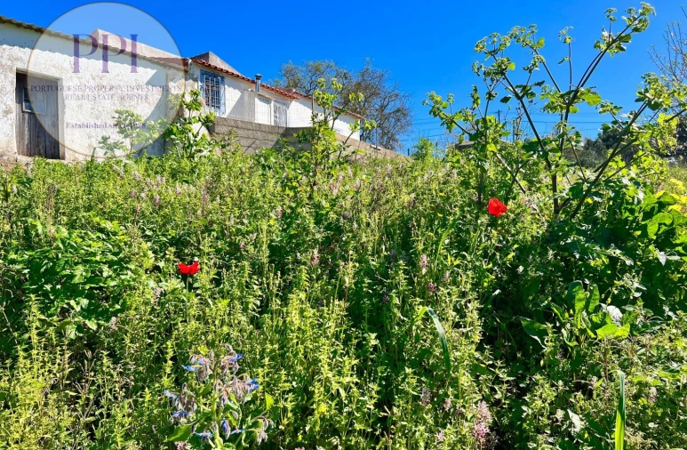 Quinta T0 para Venda em Lagos (São Sebastião e Santa Maria) Foto 23