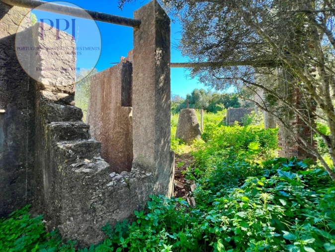 Quinta T0 para Venda em Lagos (São Sebastião e Santa Maria) Foto 11