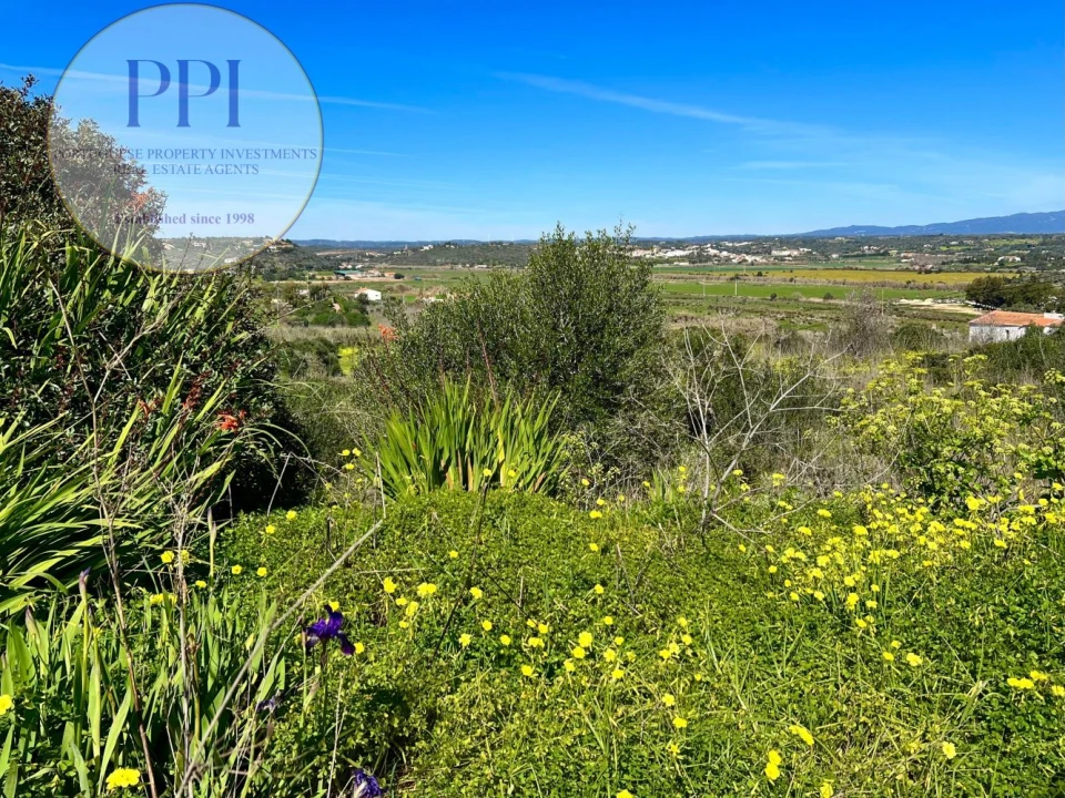 Quinta T0 para Venda em Lagos (São Sebastião e Santa Maria) Foto 16