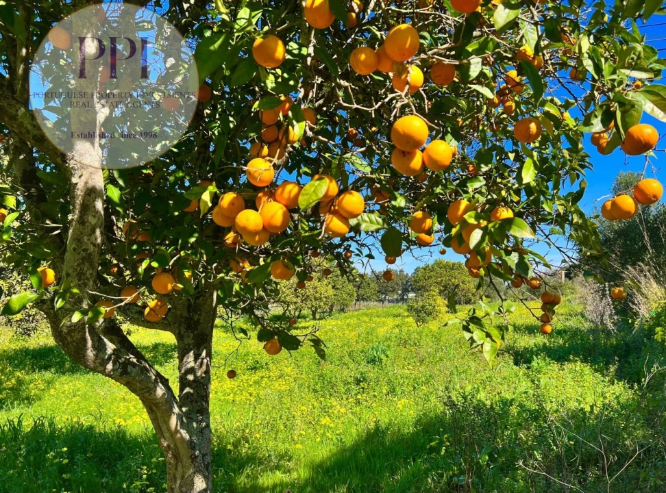 Quinta T0 para Venda em Lagos (São Sebastião e Santa Maria) Foto 55
