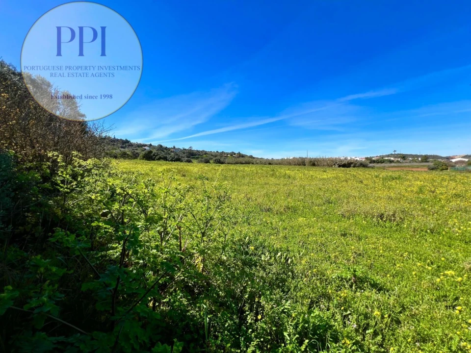 Quinta T0 para Venda em Lagos (São Sebastião e Santa Maria) Foto 9
