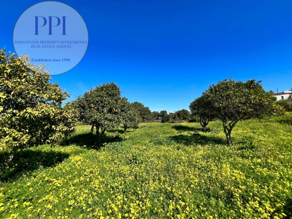 Quinta T0 para Venda em Lagos (São Sebastião e Santa Maria) Foto 24