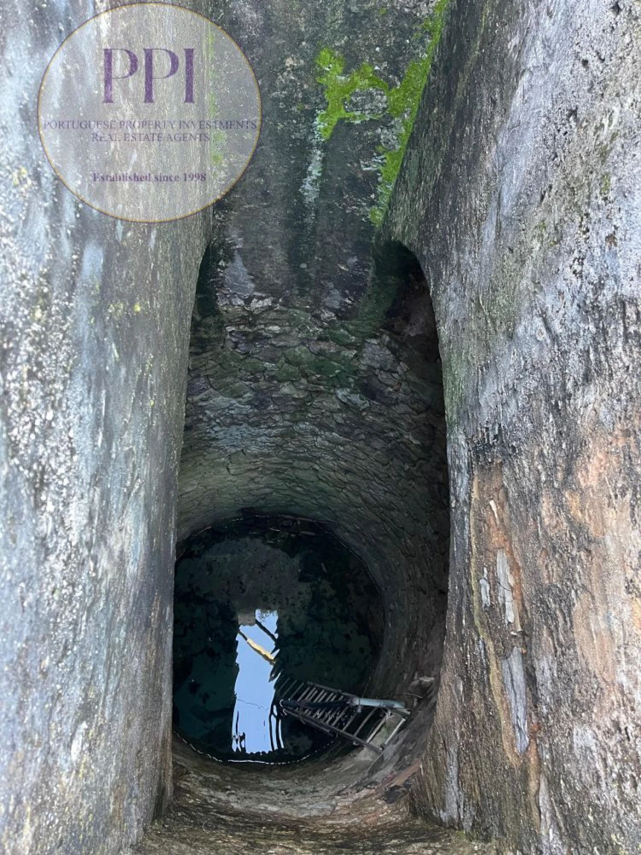 Quinta T0 para Venda em Lagos (São Sebastião e Santa Maria) Foto 28