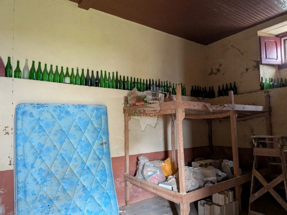 Quinta T10 para Venda em Cernache do Bonjardim, Nesperal e Palhais Foto 16