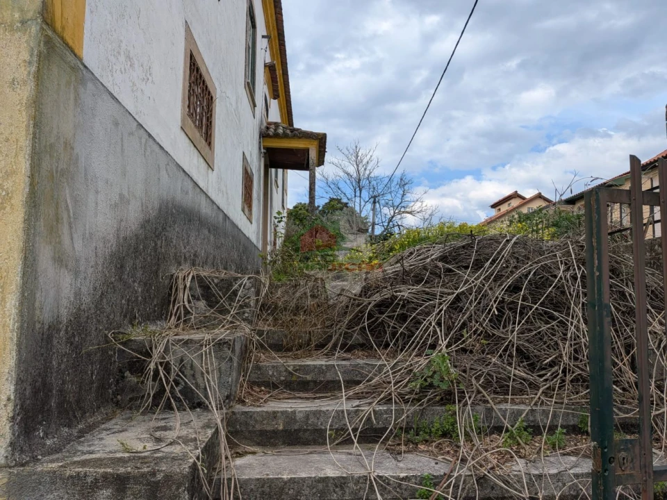 Quinta T10 para Venda em Cernache do Bonjardim, Nesperal e Palhais Foto 15