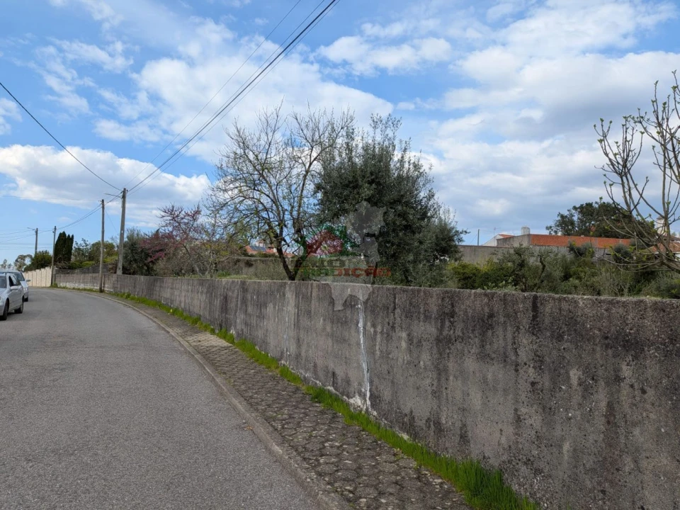 Quinta T10 para Venda em Cernache do Bonjardim, Nesperal e Palhais Foto 9