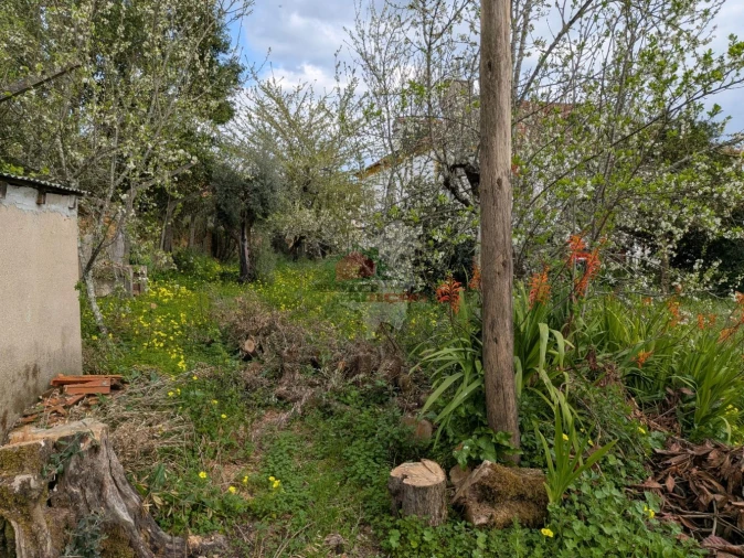 Quinta T10 para Venda em Cernache do Bonjardim, Nesperal e Palhais Foto 51