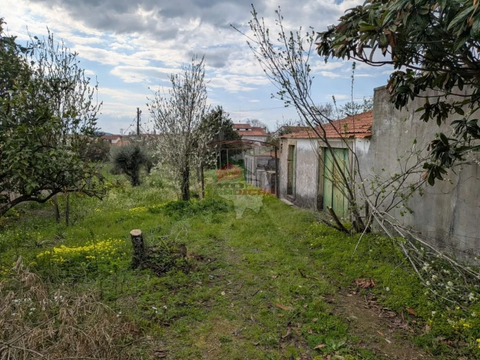 Quinta T10 para Venda em Cernache do Bonjardim, Nesperal e Palhais Foto 60